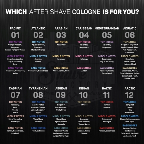 Одеколон The Shave Factory Cologne 01 Pacific 250 мл 840302410837 фото